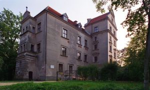 Zamek w Płotach